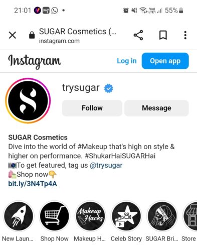 Instagram Profile Example