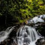 Top Places to Visit in August in India