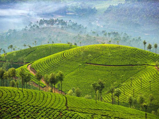 Explore the Top Hill Stations in India for Your Next Adventure
