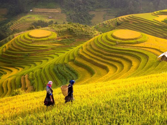 Top Places to Visit in Vietnam