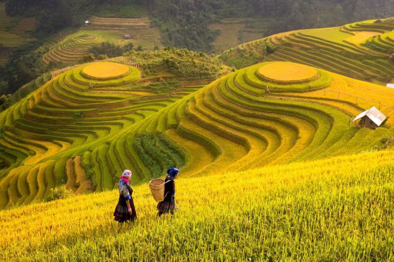 Top Places to Visit in Vietnam