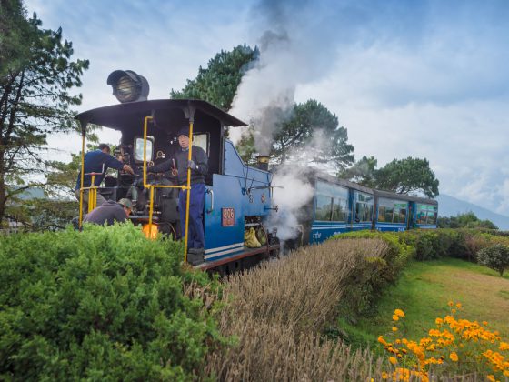 Top Things to Do in Darjeeling: A Complete Travel Guide!