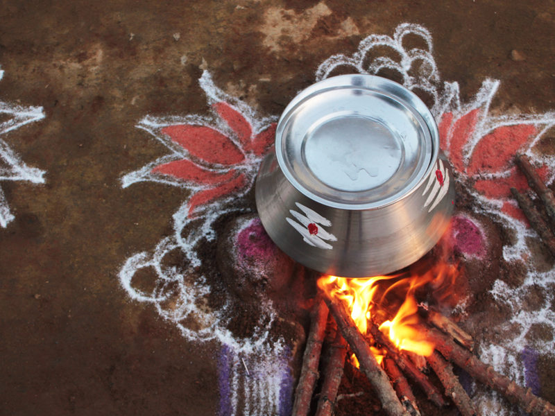 Top Places to Witness Pongal Celebrations in India!