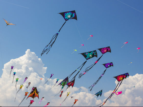 Train Bookings Are Now Open for Makar Sankranti!