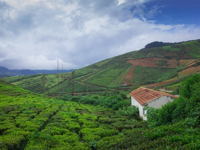 Top Budget-Friendly Destinations to Visit in July in India!