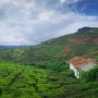 Top Places to Visit in August in India: Best Monsoon Destinations!