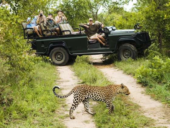 Top Destinations to Explore on National Wildlife Day!