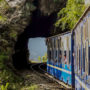 How to Reach Ooty: Complete Travel Guide with Best Things to Do