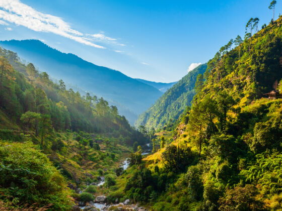 Top Things to Do in Manali in August: The Ultimate Monsoon Travel Guide