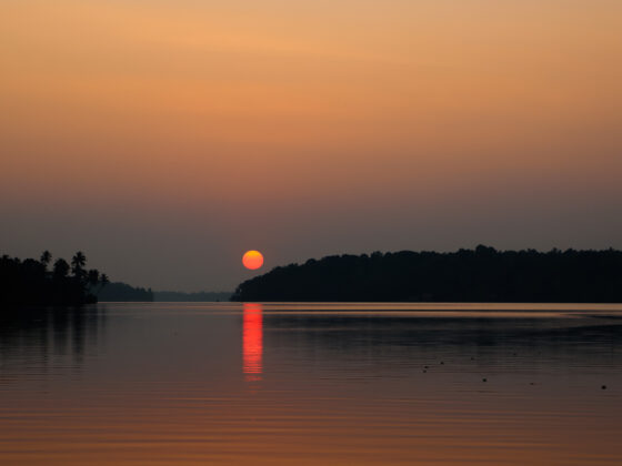 Top Things to do in Bhopal!