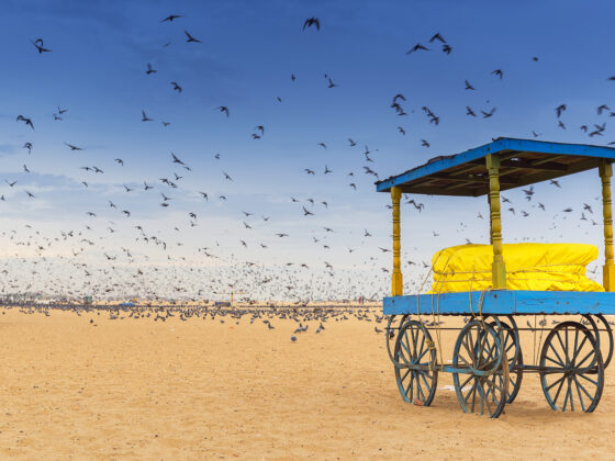 Top Weekend Trips from Chennai for the August Long Weekend!