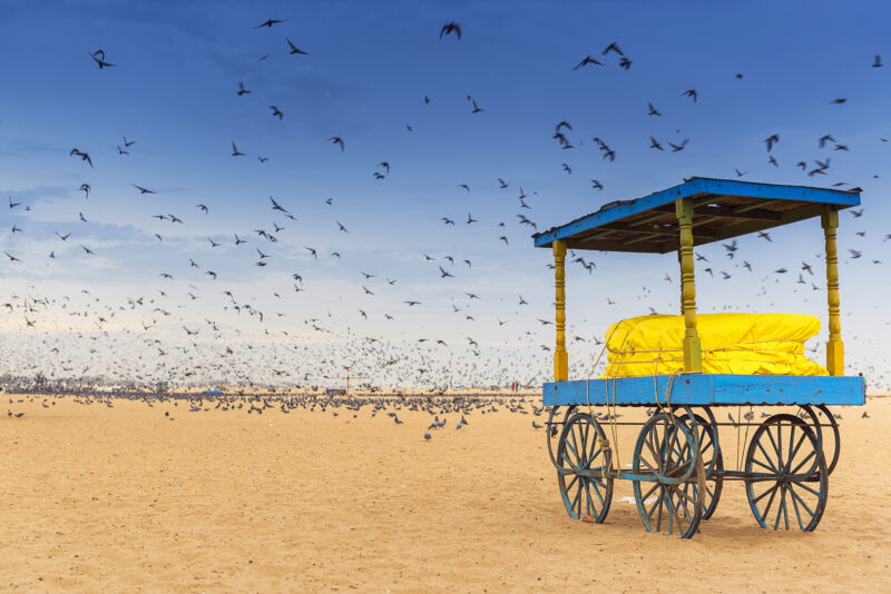 Top Weekend Trips from Chennai for the August Long Weekend!