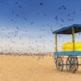 Top Weekend Trips from Chennai for the August Long Weekend!