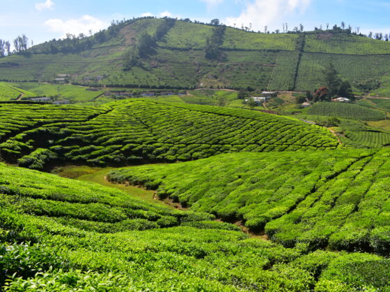 Top Offbeat Places to Visit This Monsoon in India!