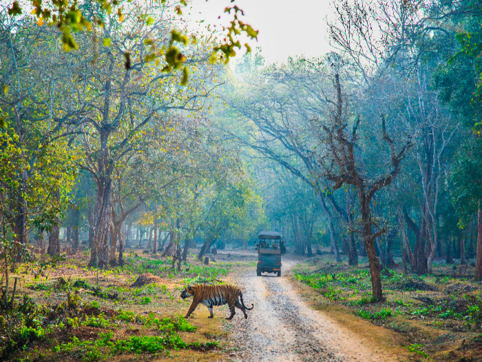 Top Things to do in Nagpur!