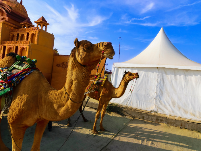 A Detailed Guide to Rann Utsav 2025-26!